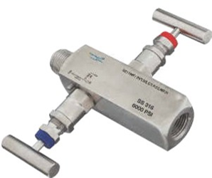 2 Way Manifold