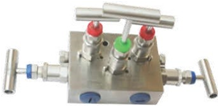 5 Way Manifold